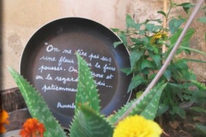 JARDINIÈRE POÉTIQUE <br> Le jardin est propice à la rêverie. Pour la susciter un peu plus, nous peindrons de jolies phrases sur des jardinières.
