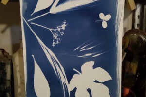 CYANOTYPE <BR> Le cyanotype est une technique de photographie ancienne, qui utilise le soleil pour fixer des images sur fond bleu sur un papier spécial. Il s’agit d’une technique ludique, créative, qui convient aussi bien aux enfants qu’aux adultes.