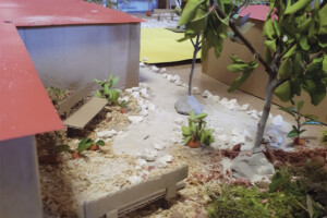 MAQUETTE EN VOLUME <br> Les enfants expriment leurs envies et besoins dans leur nouvelle cour et ensemble nous déterminons quels espaces nous pourrions créer pour y parvenir tout en respectant la nature.
<br> À partir de modules maquettes qui seront apportés par l’animateur (bois, gravier, petits arbres, ...) les enfants vont assembler et construire des espaces miniatures dans une zone délimitée au sol : jardinières, arbres, récupération d’eau de pluie, salon, espace manipulation, abri, coin calme, ombre, espaces pour grimper, ...